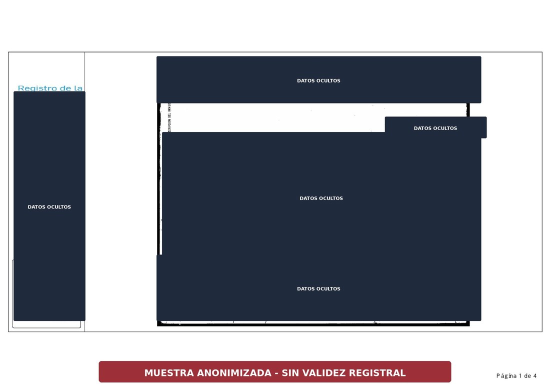 Primera página anonimizada de un informe de dominio de inmueble